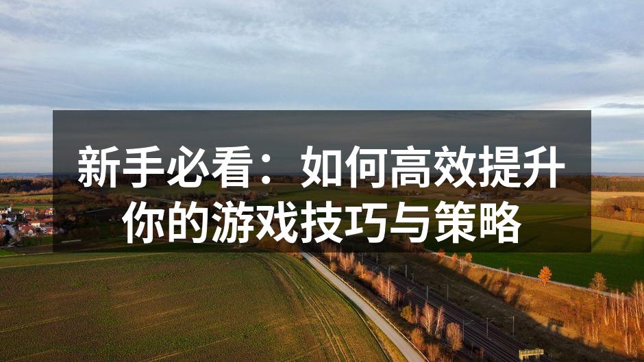 新手必看：如何高效提升你的游戏技巧与策略